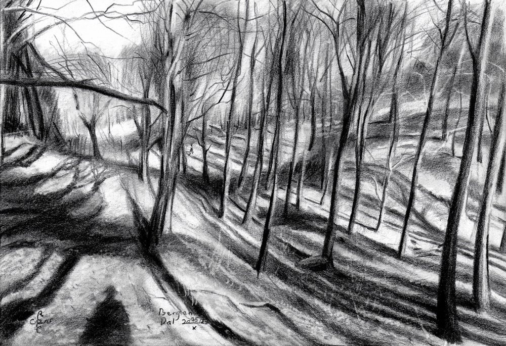 Winter Forest Path by Corné Akkers