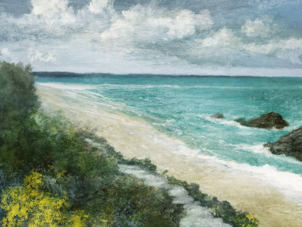 Coastal Walk by Dan Hobday