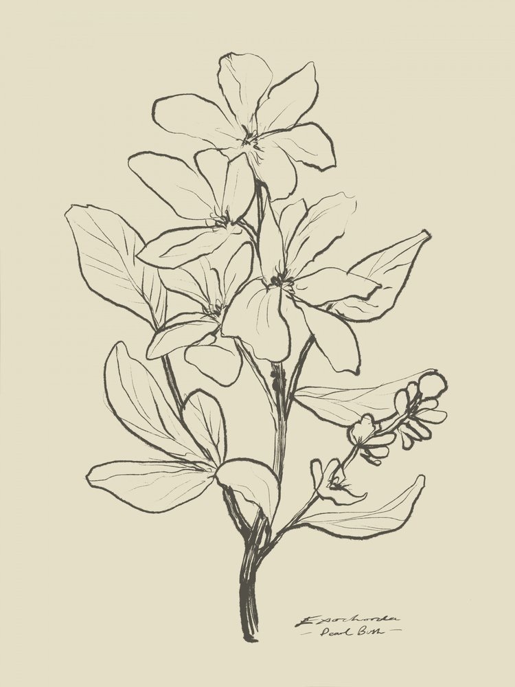 Floral 1 by Dan Hobday