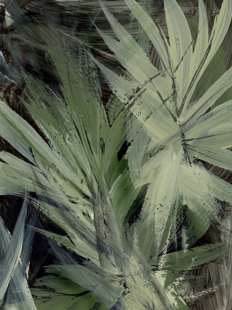 Forest by Dan Hobday