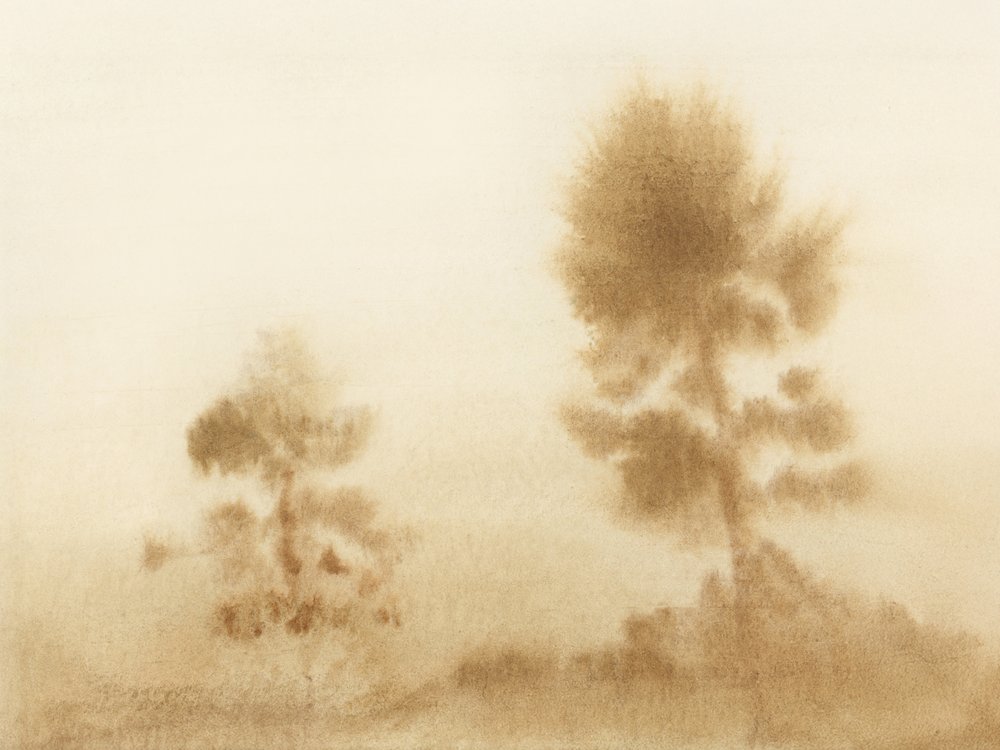 Misty Meadow by Dan Hobday