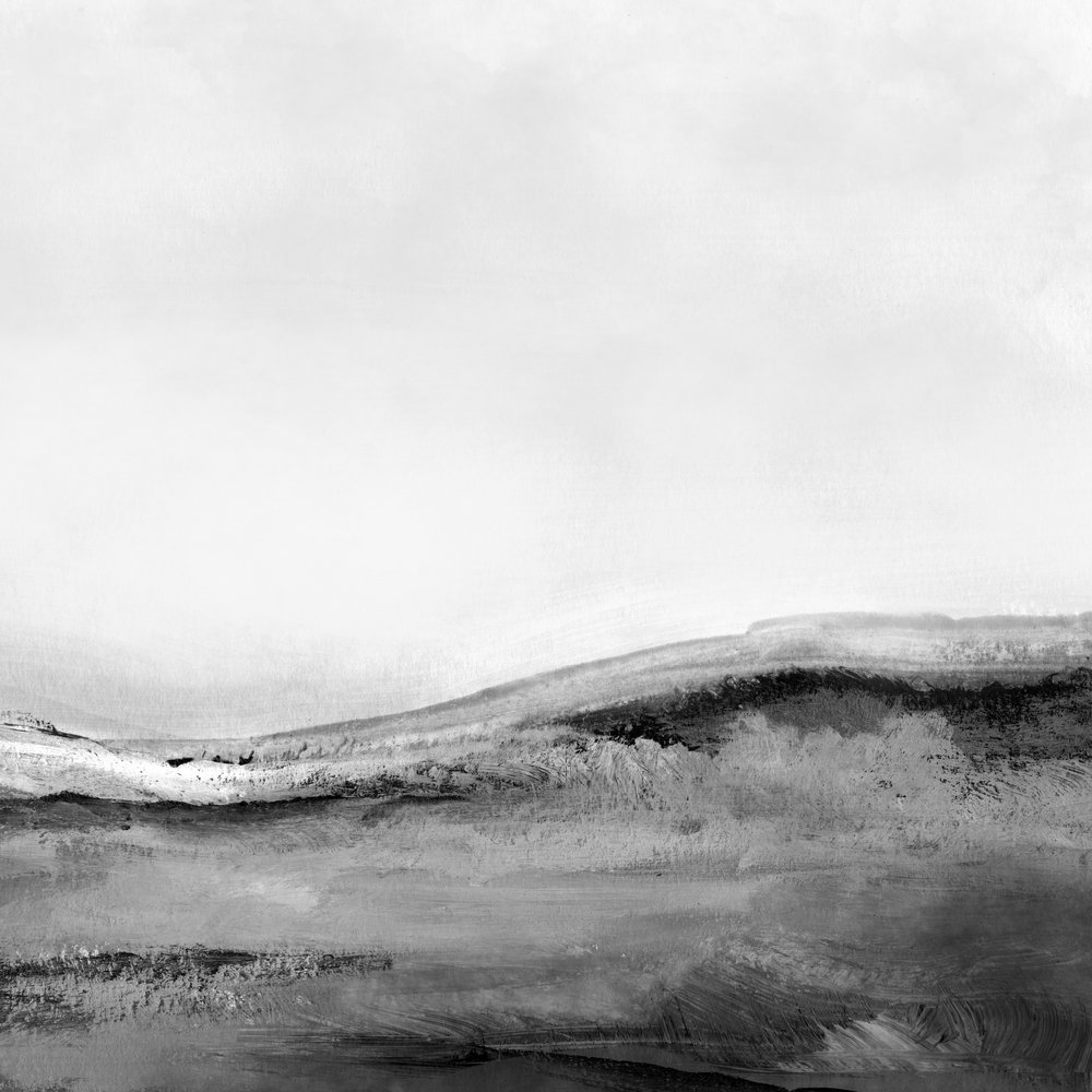 Mono Landscape No2 by Dan Hobday
