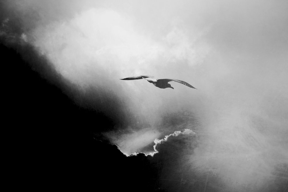 Dramatic Sky Flight by Daniela Riegler