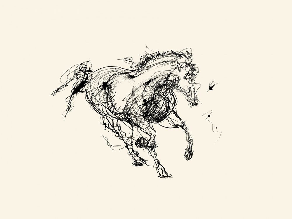 Energetic Horse Sketch by Danushka Abeygoda
