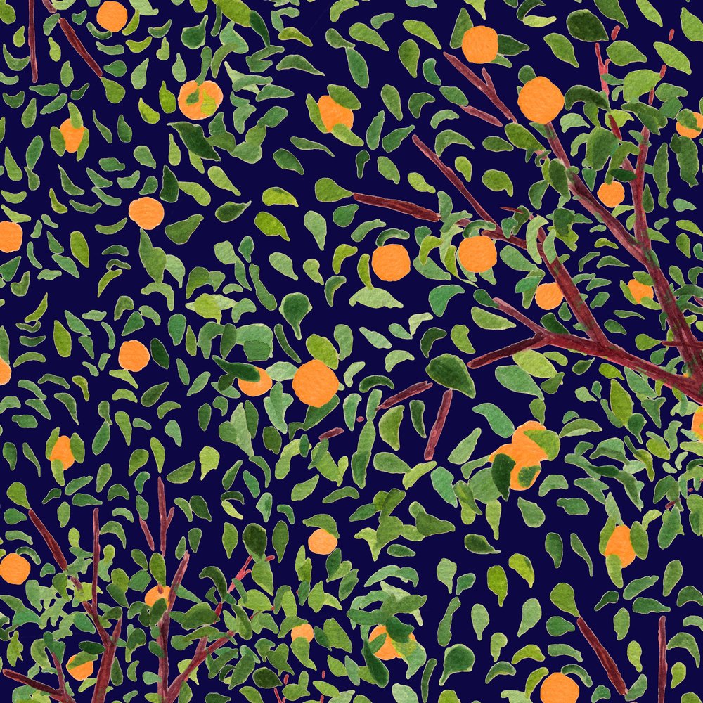 Lush Orange Grove Blue by Danushka Abeygoda