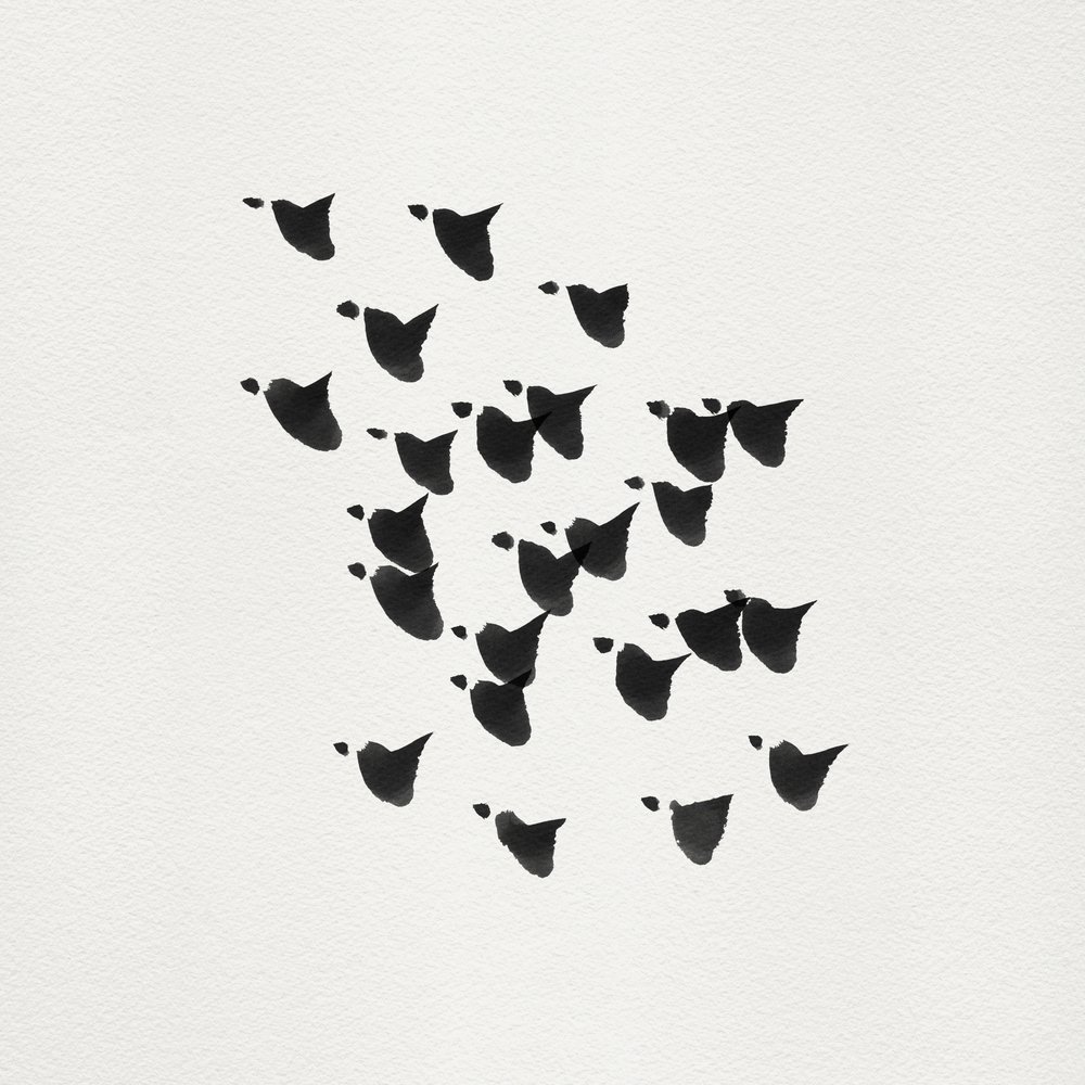 Minimalist Birds Flight by Danushka Abeygoda