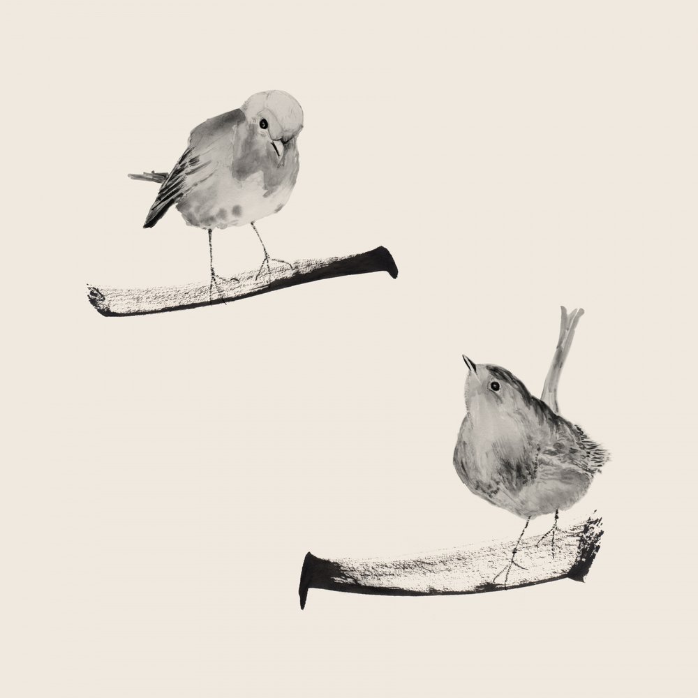 Two Gentle Birds by Danushka Abeygoda
