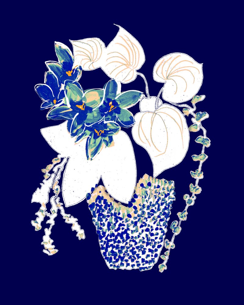 Vibrant Potted Blooms by Danushka Abeygoda