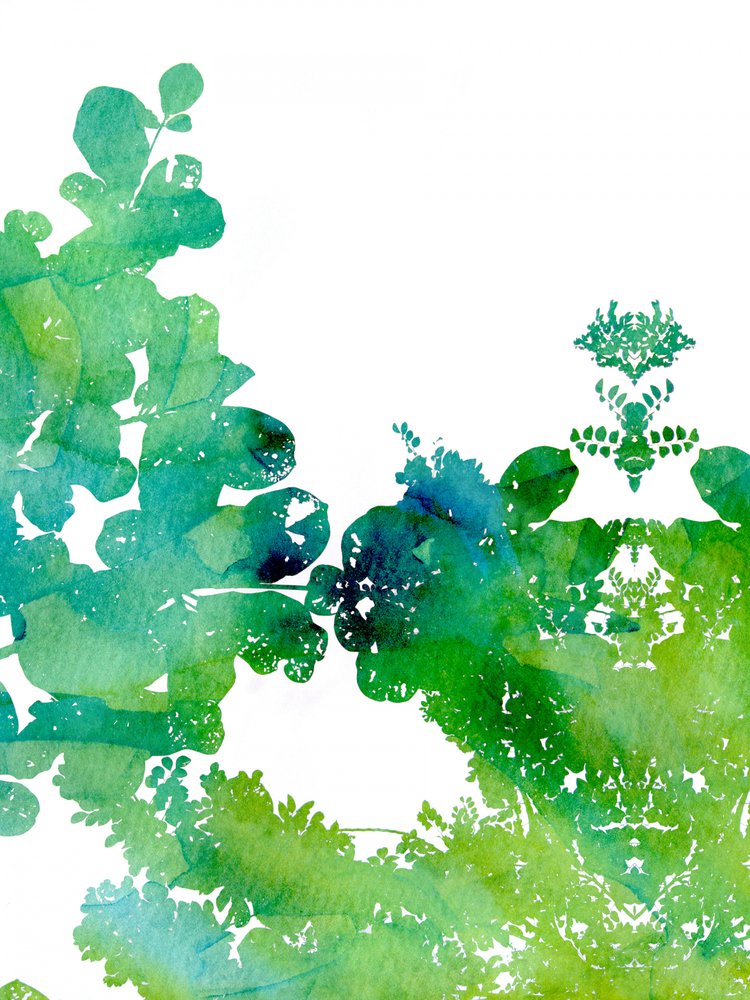 Vibrant Watercolor Leaves by Danushka Abeygoda