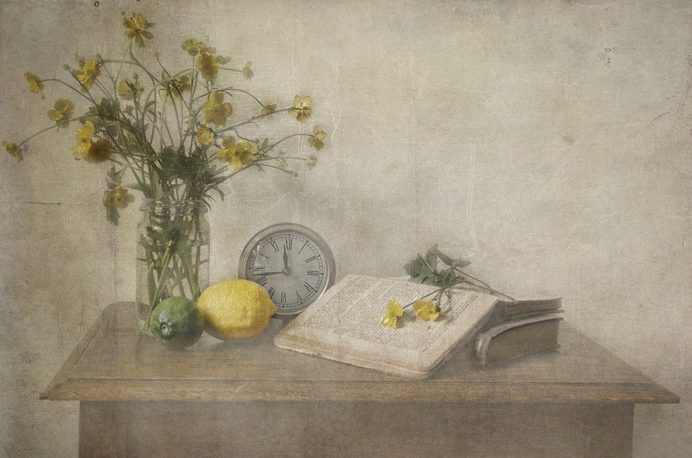 Timeless Still Life by Deborah Gugeri