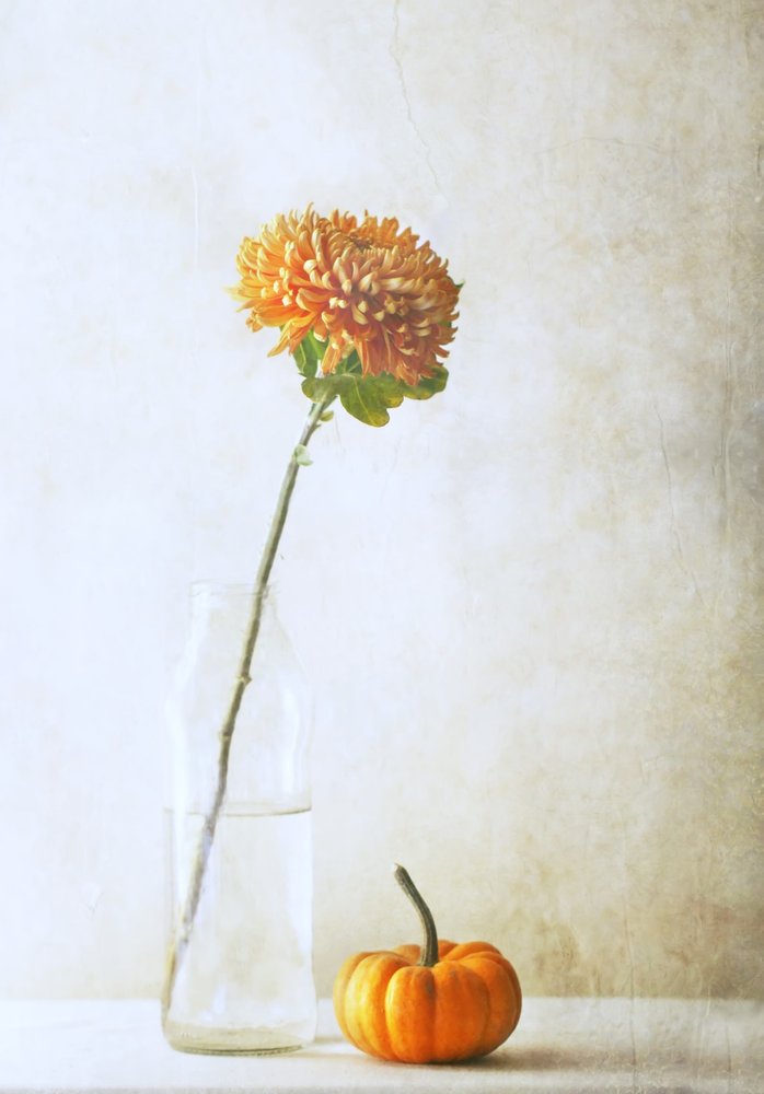 Autumn Mum and Pumpkin by Delphine Devos