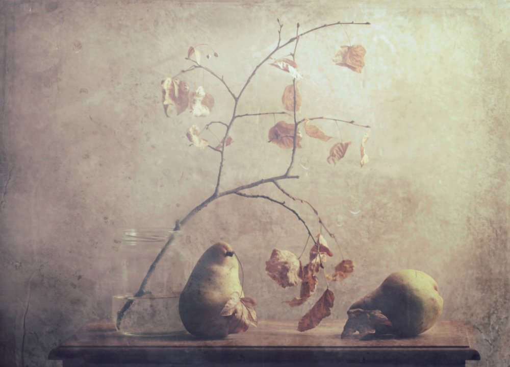 Autumn Pear Still Life von Delphine Devos