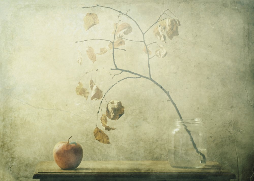 Autumn Still Life von Delphine Devos