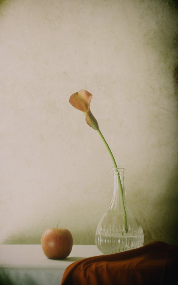 Calla Lily and Apple Still Life by Delphine Devos