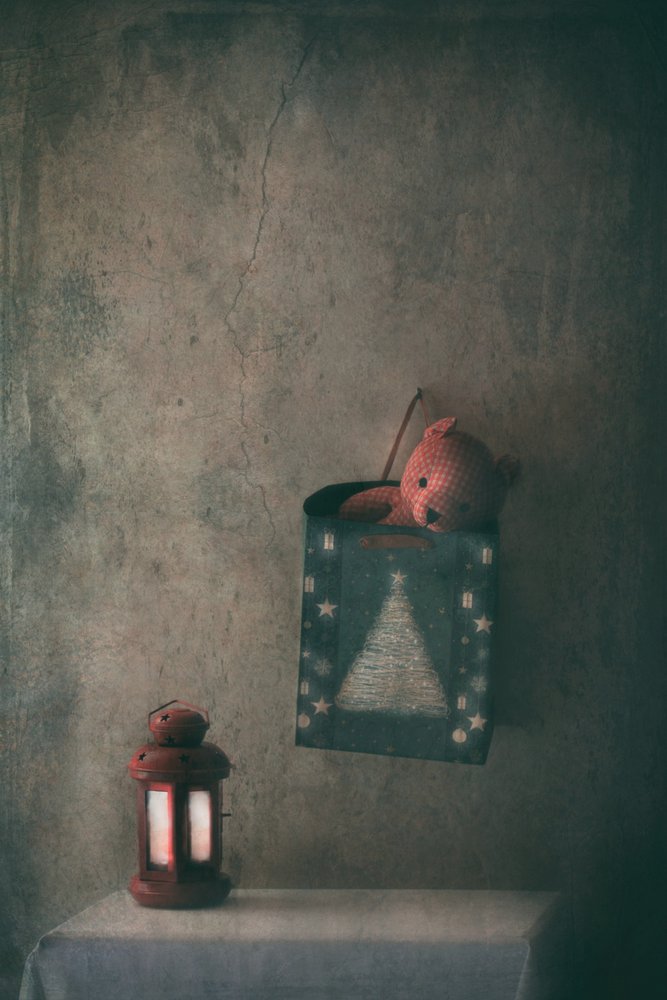 Christmas Bear Lantern by Delphine Devos