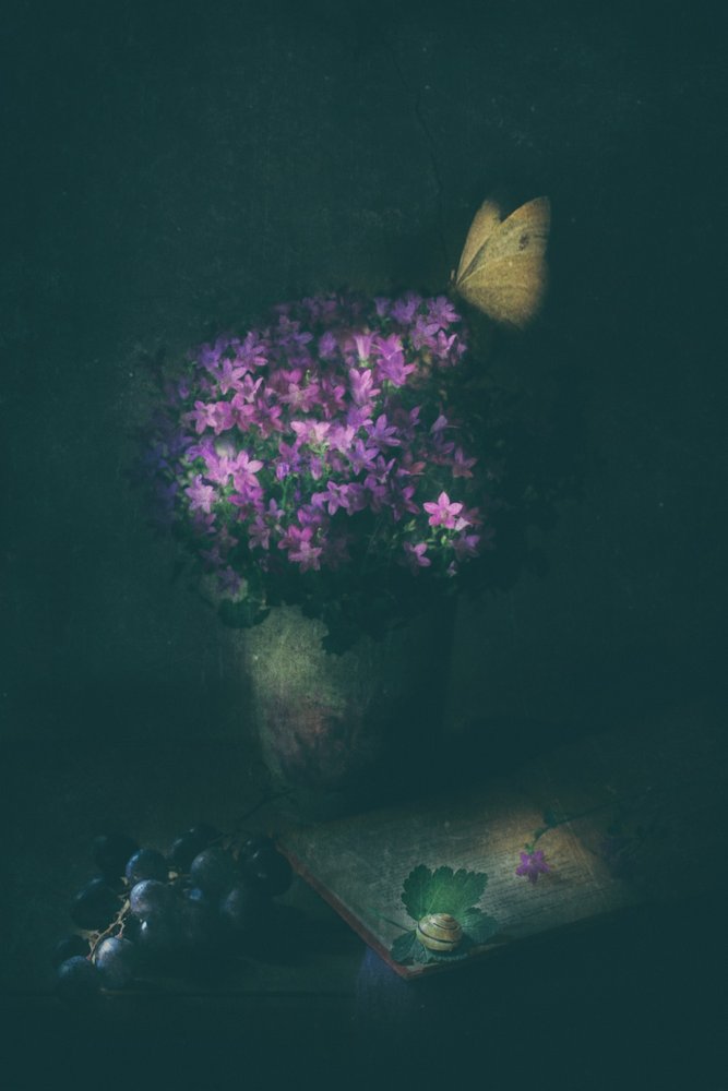 Elegant Butterfly Still Life by Delphine Devos