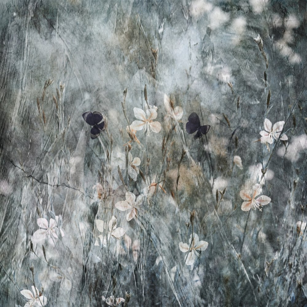 Ethereal Butterfly Garden by Delphine Devos