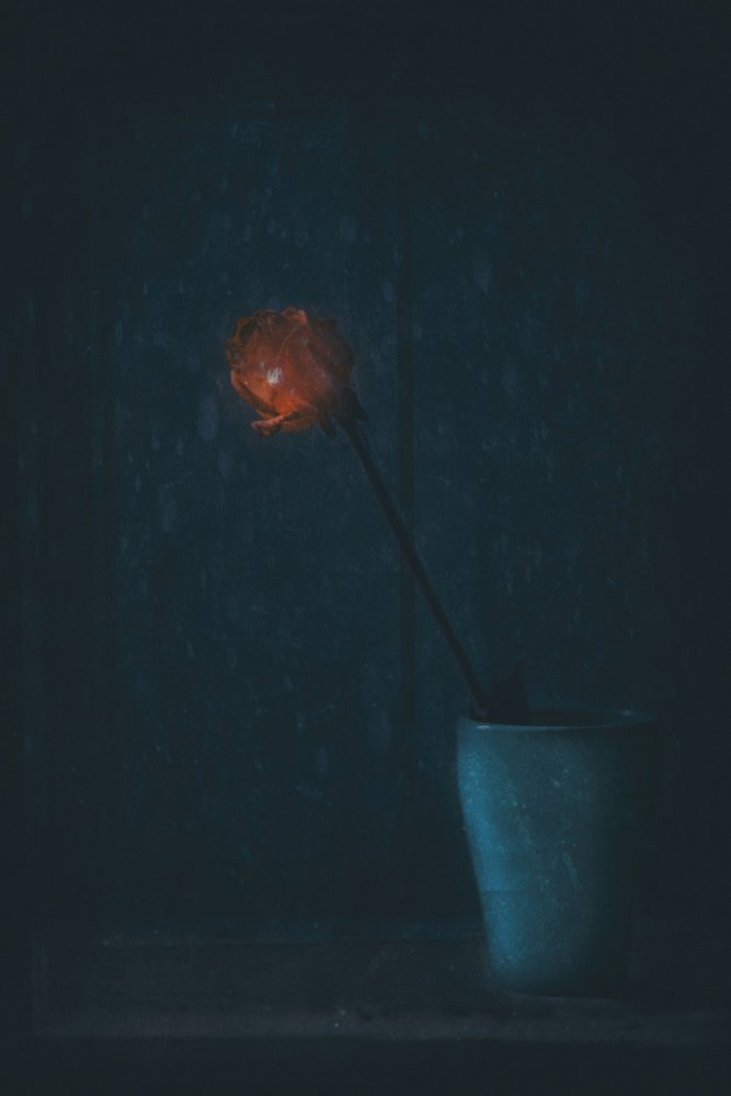 Glowing Red Bloom by Delphine Devos