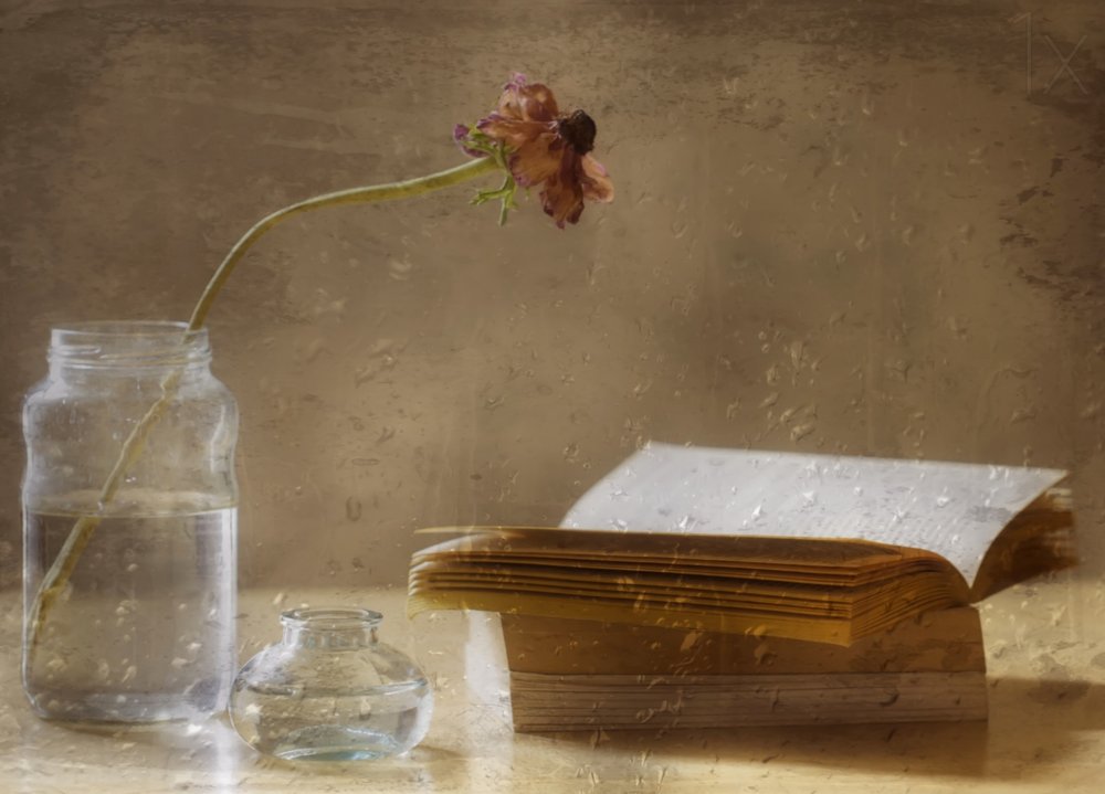 Melancholy Bloom and Book by Delphine Devos