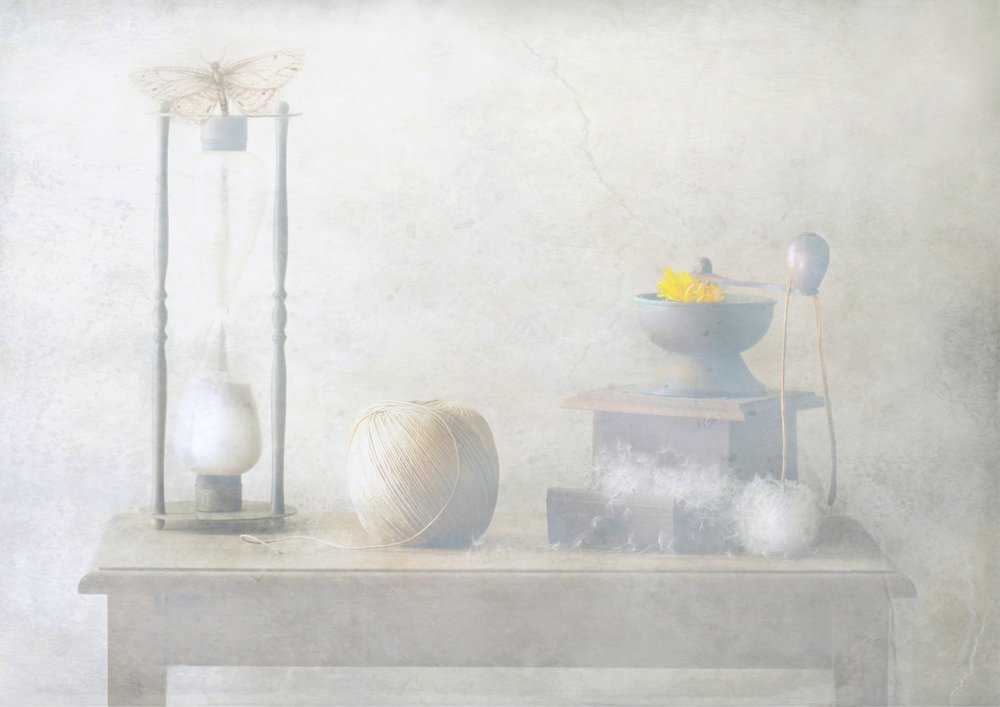 Moth on Hourglass by Delphine Devos