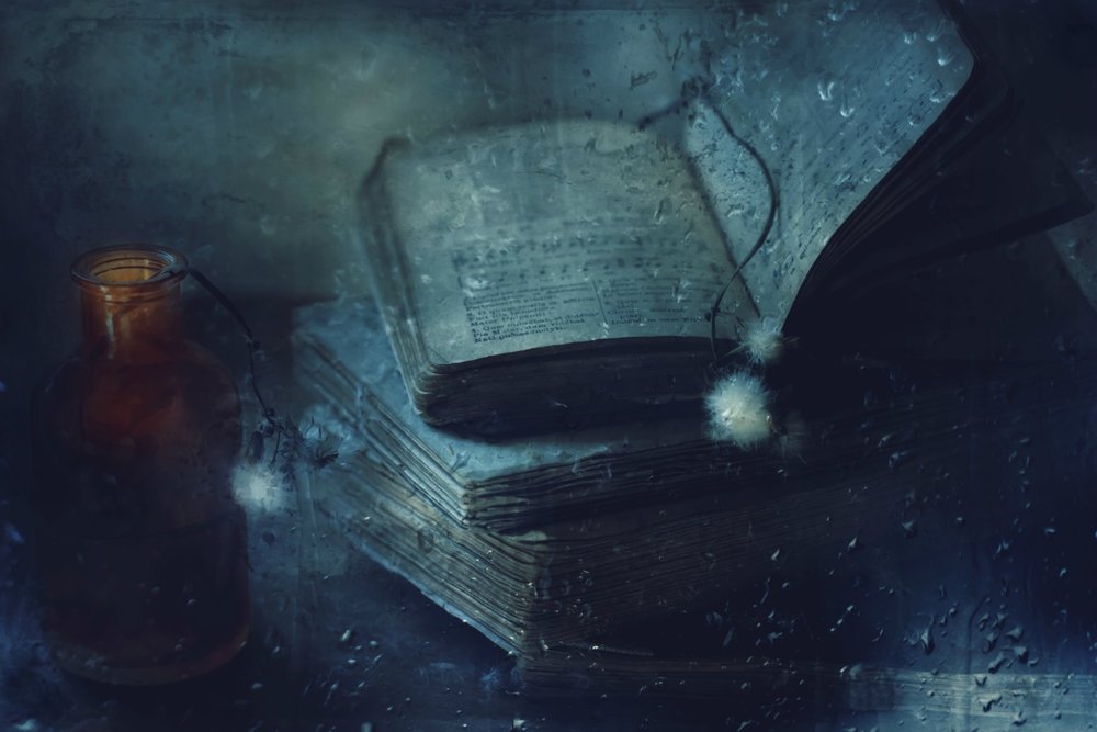 Old Books Rainy Day by Delphine Devos