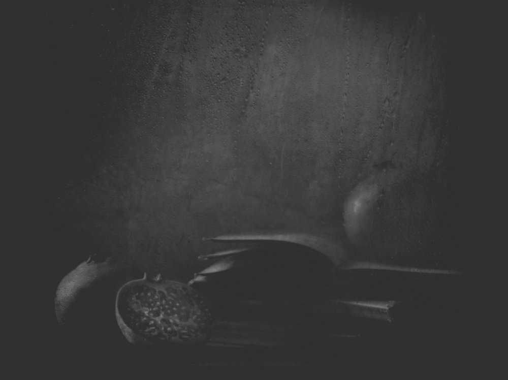 Pomegranates in Shadow von Delphine Devos