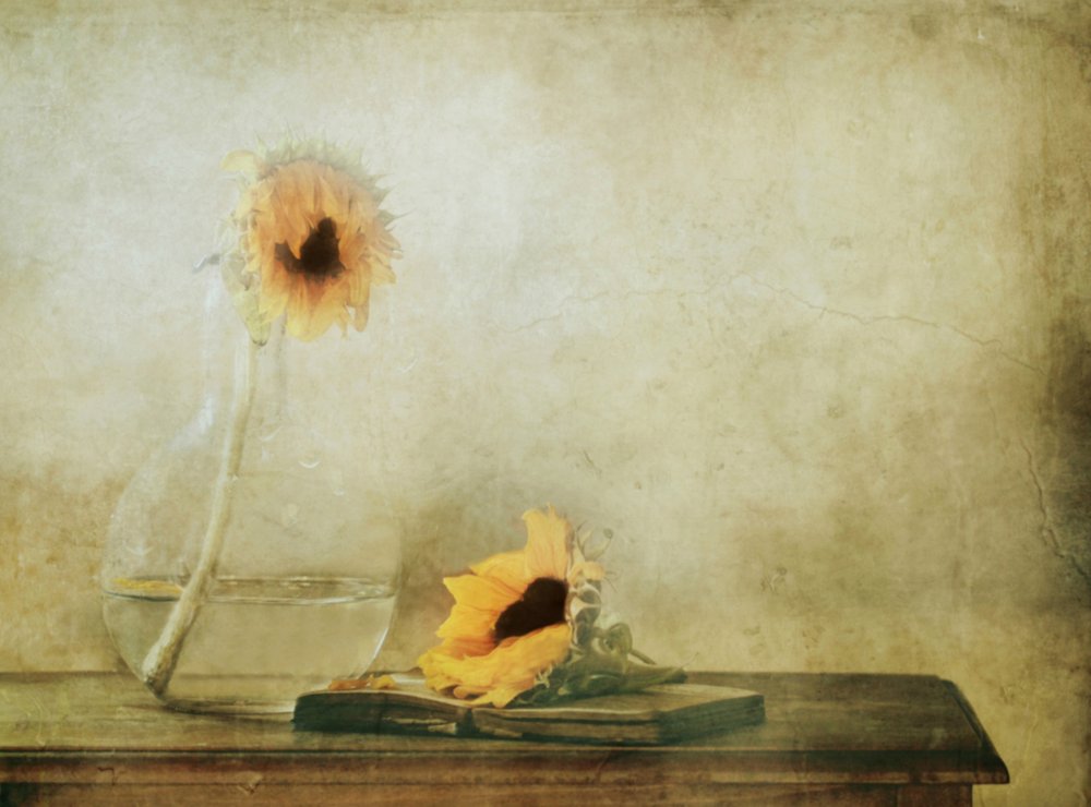 Quiet Autumn Sunflowers von Delphine Devos