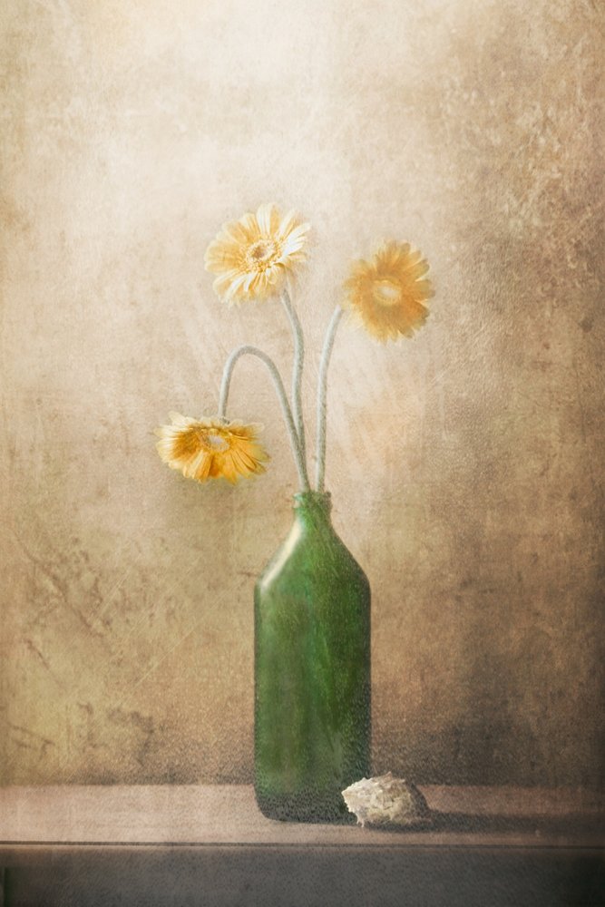 Quiet Yellow Flowers by Delphine Devos