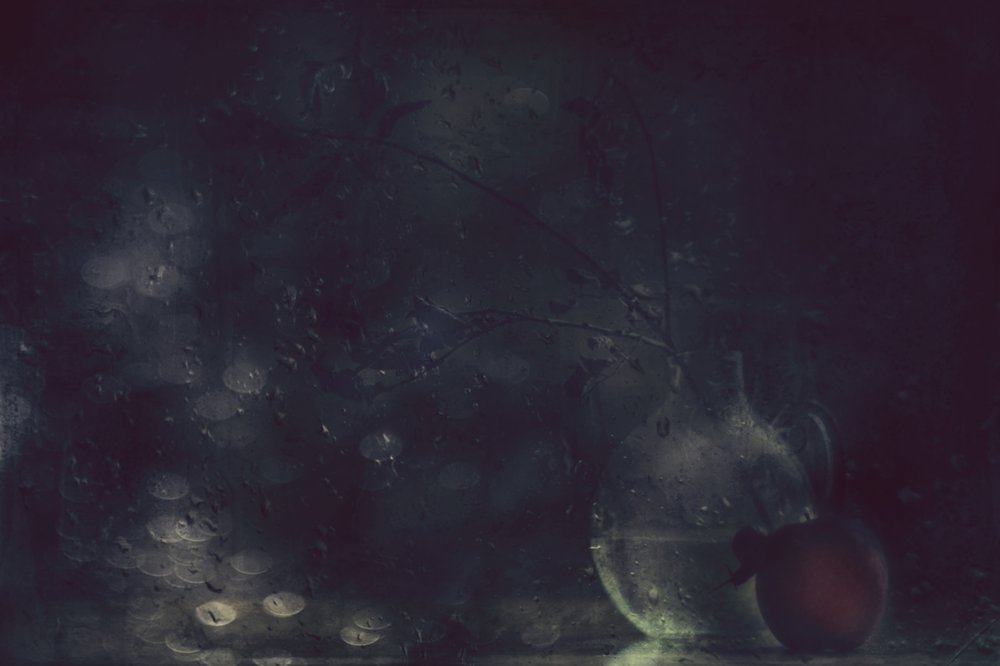Rainy Window Still Life von Delphine Devos