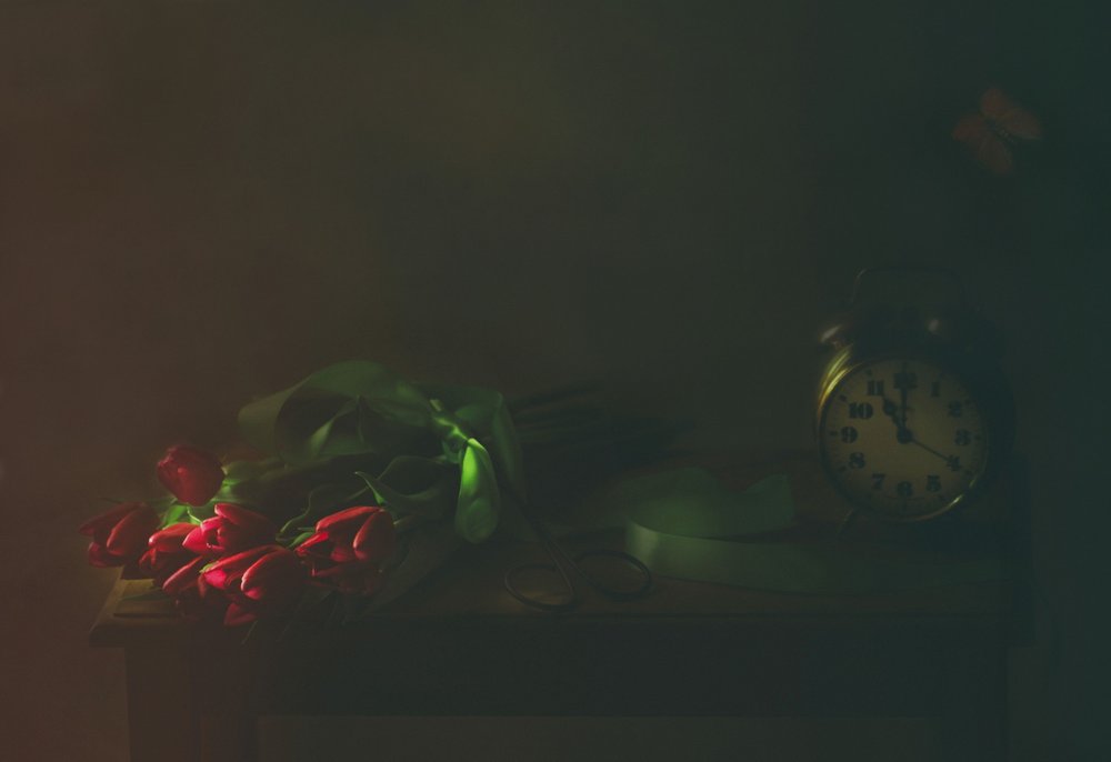 Red Tulips and Time by Delphine Devos
