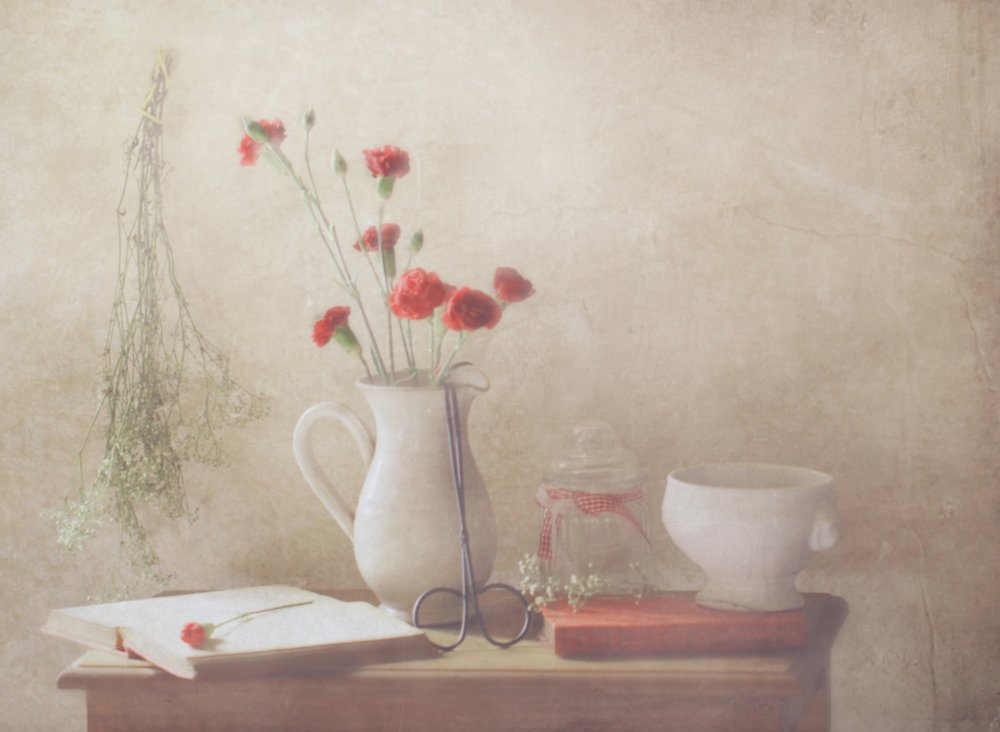 Soft Carnations Still Life by Delphine Devos