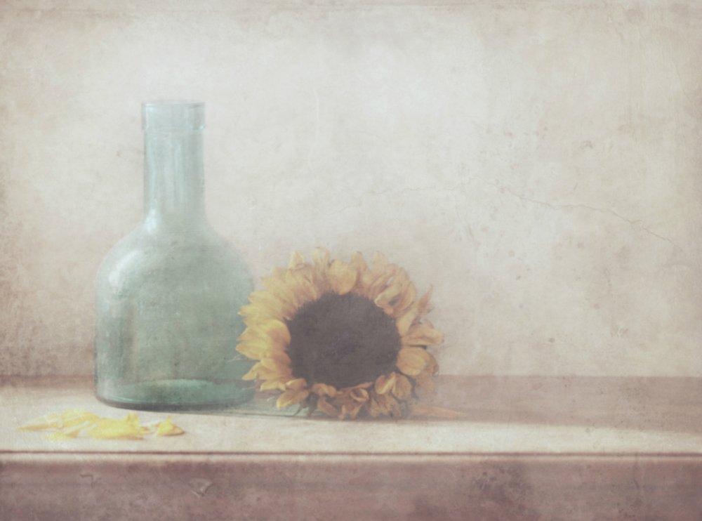 Vintage Sunflower Still Life by Delphine Devos