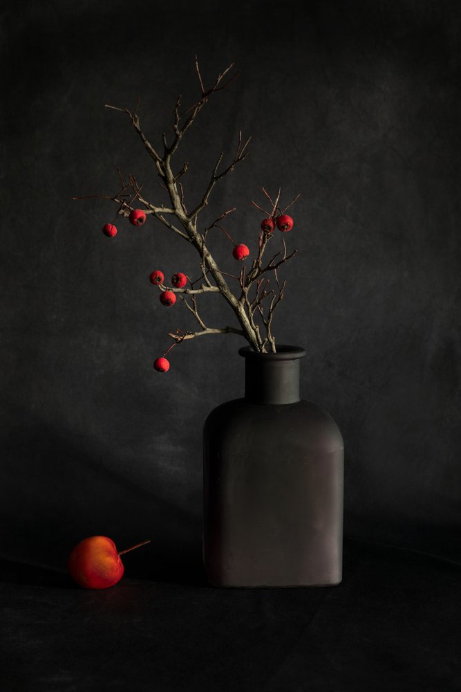 Crimson Berries Still Life by Dennis Zhang
