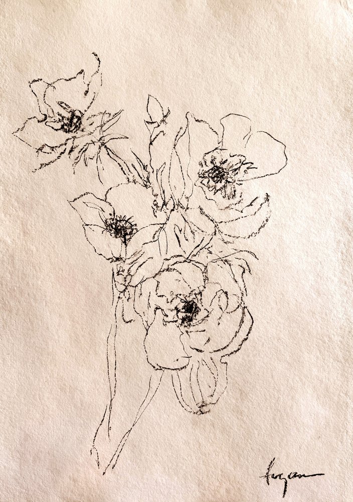 Delicate Floral Sketch by Dorothy Fagan