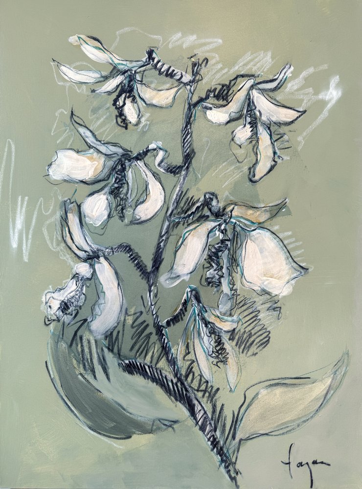 White Floral Sketch by Dorothy Fagan