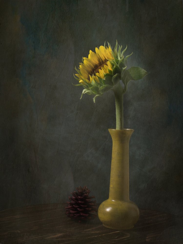 Rustic Sunflower Still Life by EDUARDO LLERANDI