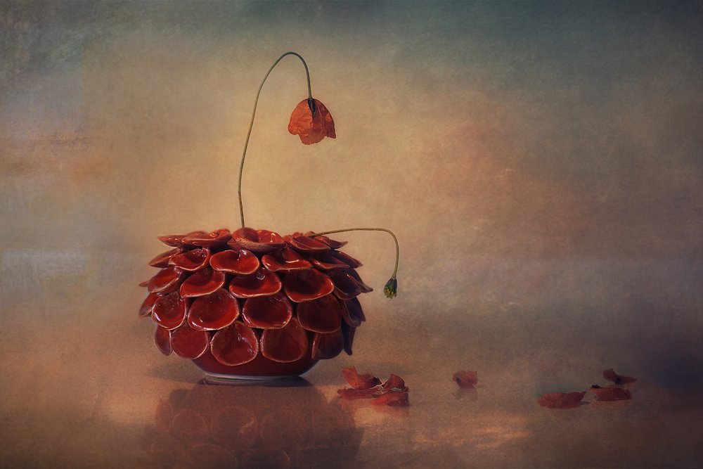 Untitled by Elena Arjona