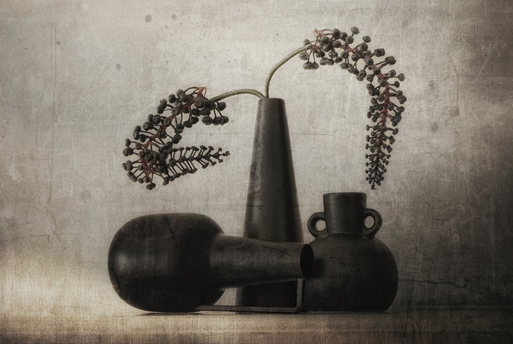 Dark Berry Still Life by Elena Arjona