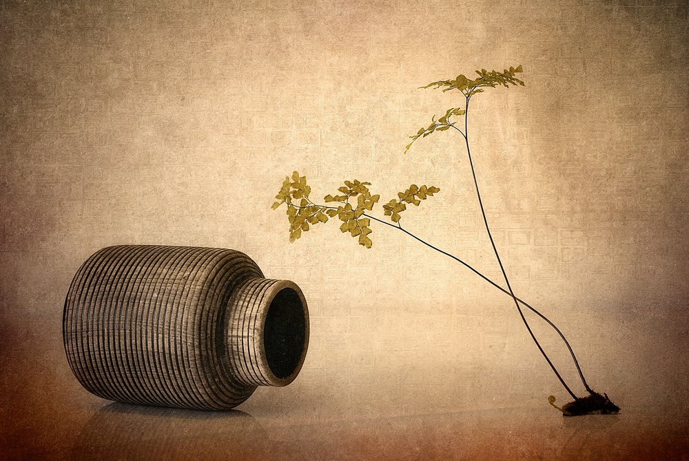 Earthy Vase and Fern by Elena Arjona