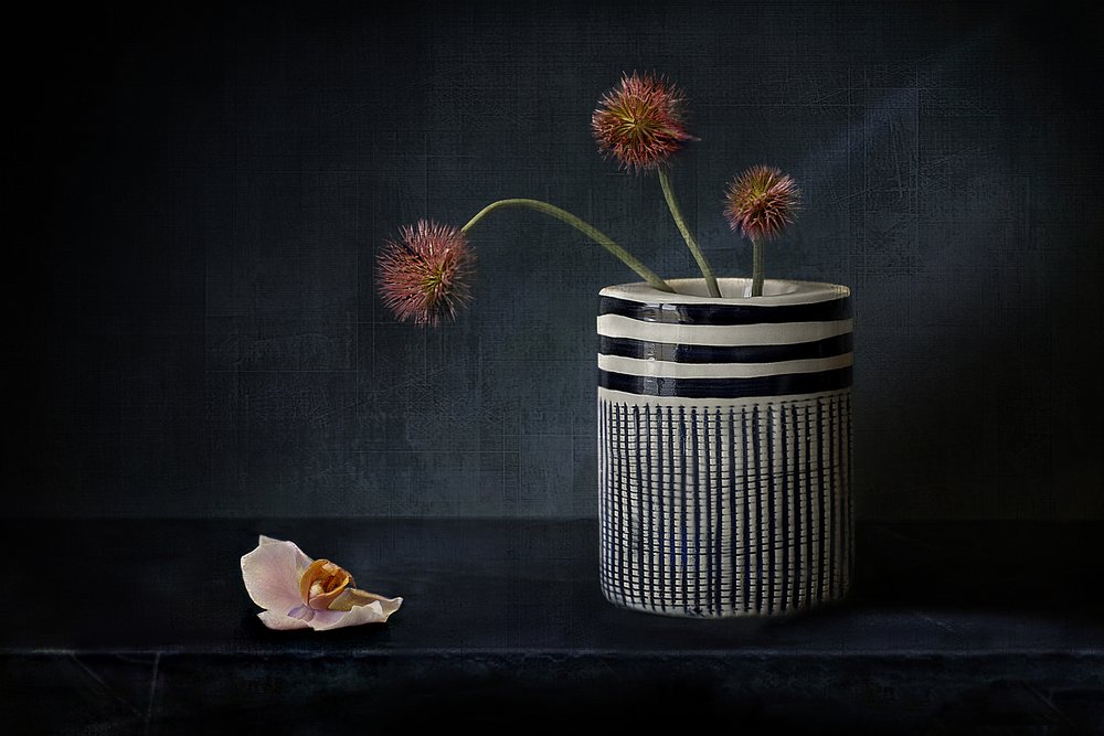 Moody Spiky Flowers by Elena Arjona