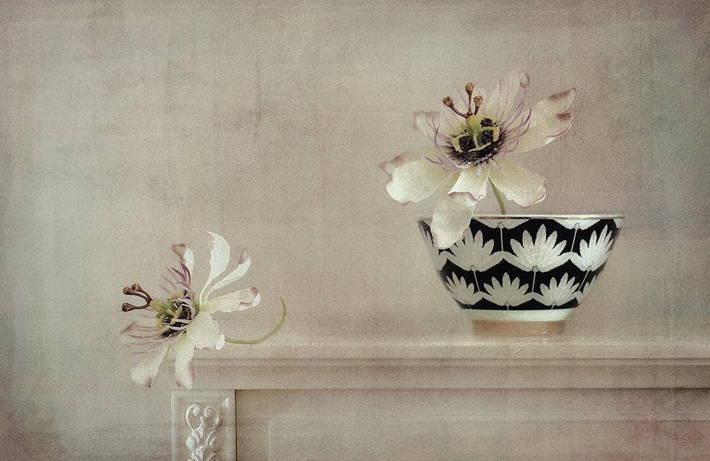 Passionflower Still Life by Elena Arjona