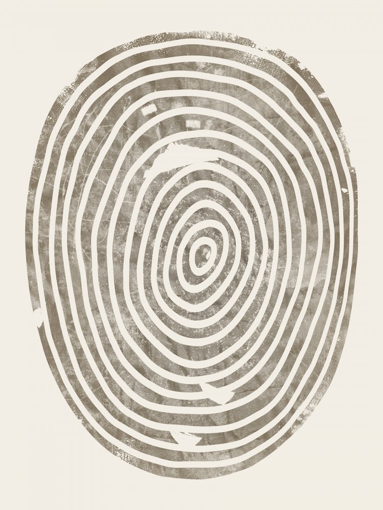 Organic Tree Rings by Ema Paraschiv