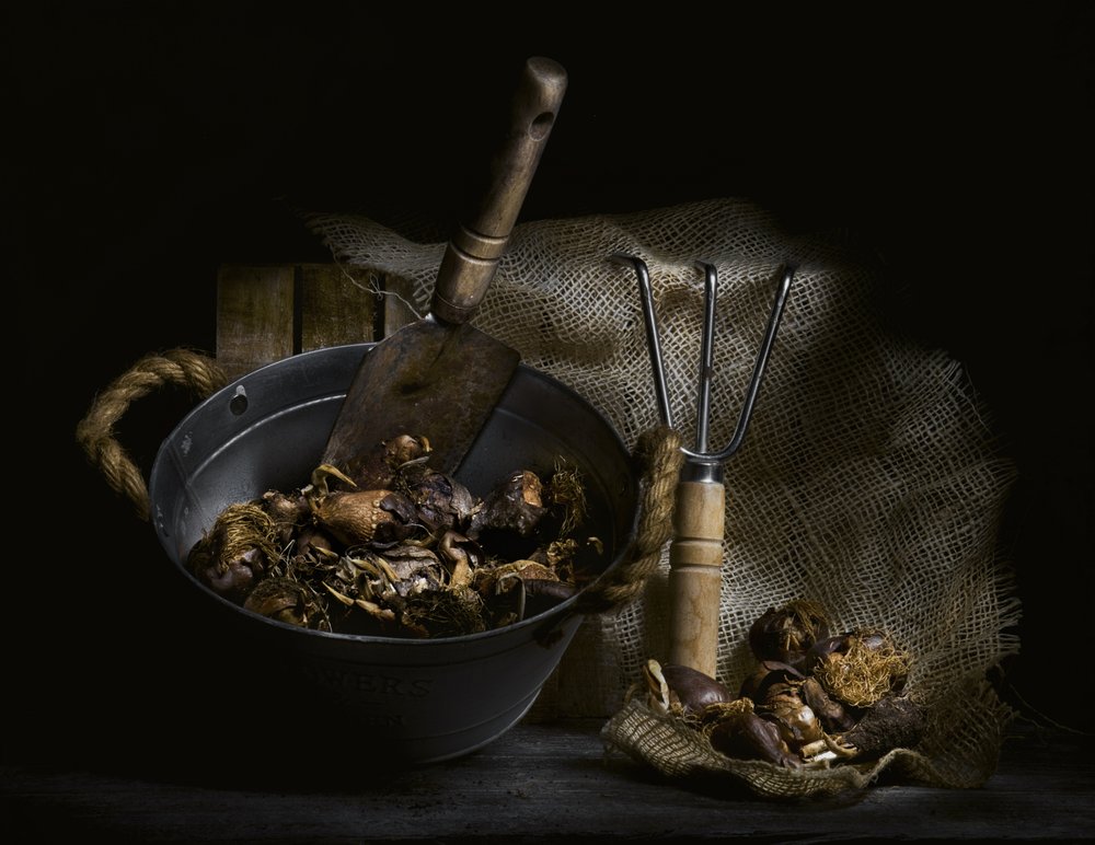 Foraged Mushrooms and Tools by Enrico Sottocorna