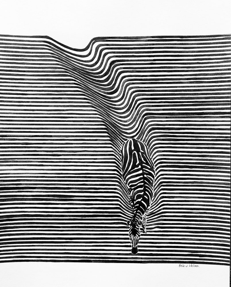 Zebra Optical Illusion by Erik Van Velzen
