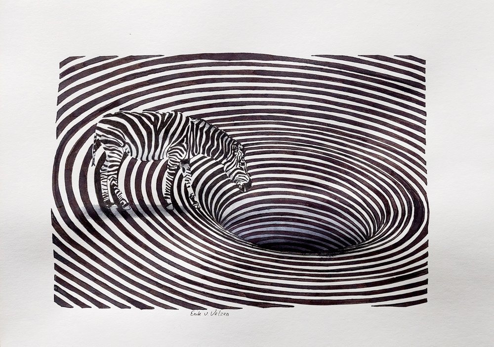 Zebra Vortex Illusion by Erik Van Velzen