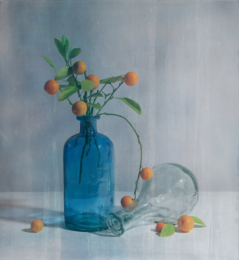 Citrus Blue Bottles by Fangping Zhou