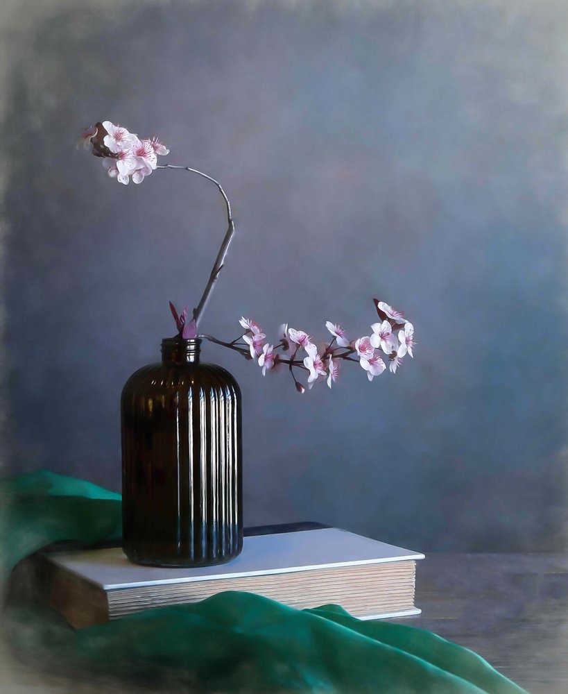 Delicate Spring Blossoms by Fangping Zhou