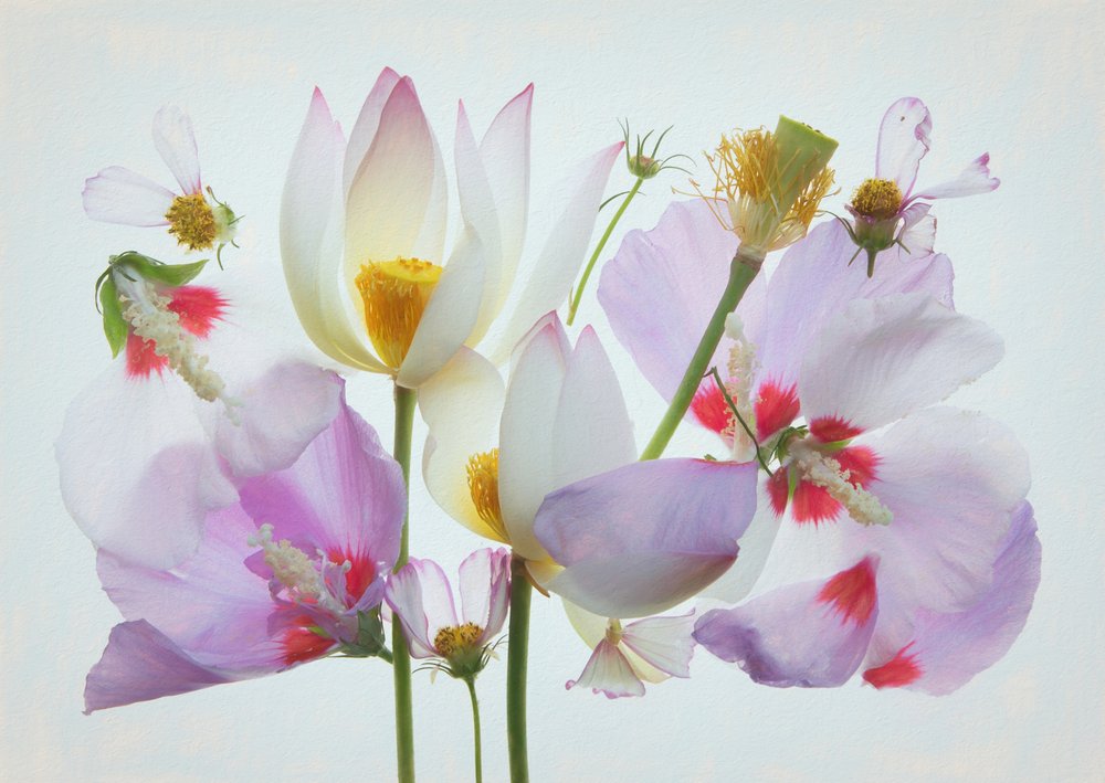 Ethereal Floral Composition by Fangping Zhou
