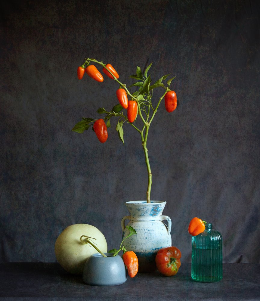 Orange Tomatoes Rustic Still Life by Fangping Zhou
