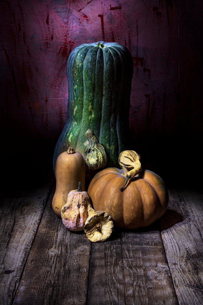 Dark Harvest Still Life by Felice Angelino